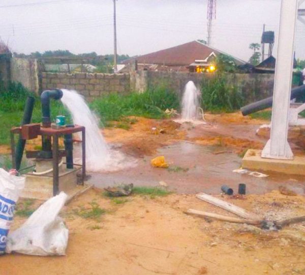 Factory & Industrial